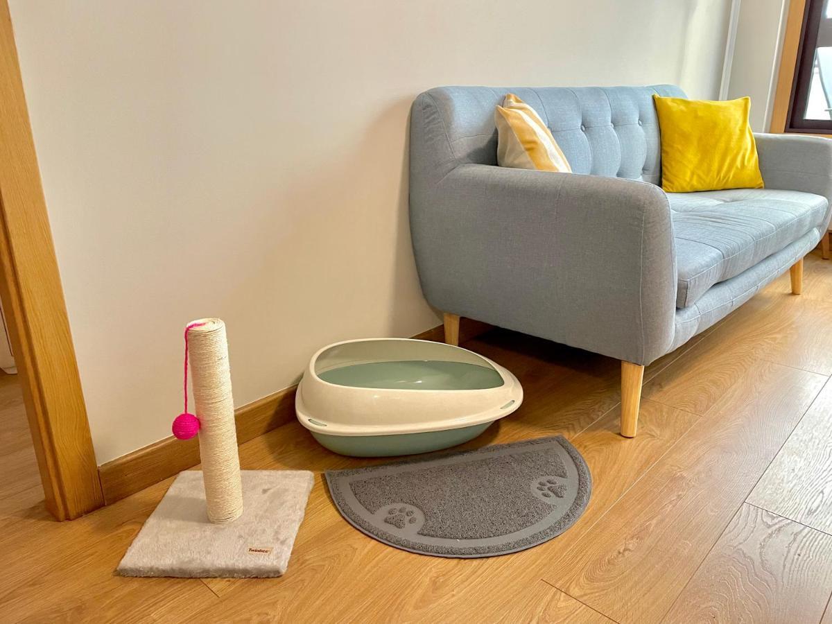 Estudio Centrico 1 Con Terraza Y Parking Privado 오렌세 외부 사진